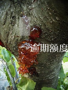逾期额度怎么算 逾期额度怎么算