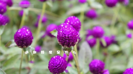 逾期额度是什么 逾期额度是什么
