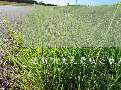 逾期额度是最低还款额吗 逾期额度是最低还款额吗