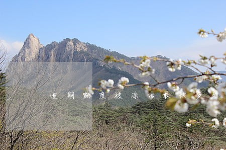 逾期额度被冻结最快多久解冻 逾期额度被冻结最快多久解冻