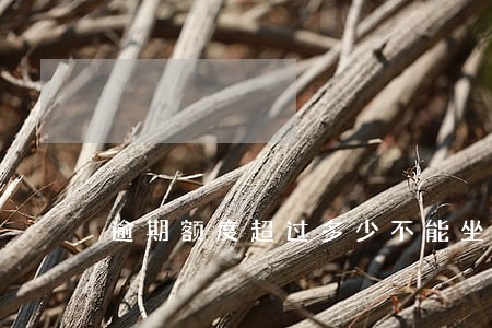 逾期额度超过多少不能坐飞机 逾期额度超过多少不能坐飞机