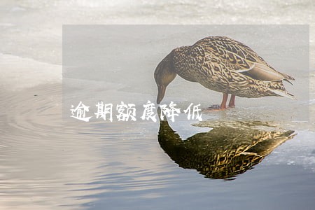逾期额度降低 逾期额度降低