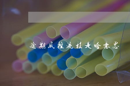 逾期风控流程是啥意思 逾期风控流程是啥意思