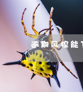 逾期风控能下款的口子 逾期风控能下款的口子