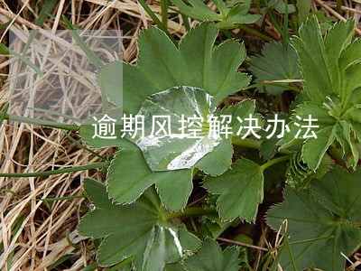 逾期风控解决办法 逾期风控解决办法