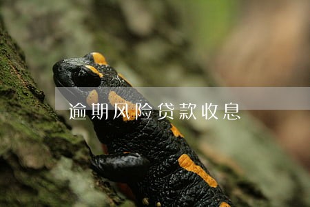 逾期风险贷款收息 逾期风险贷款收息
