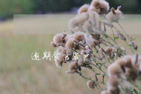 逾期食言客户 逾期食言客户
