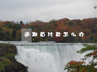 逾期首付款怎么办 逾期首付款怎么办