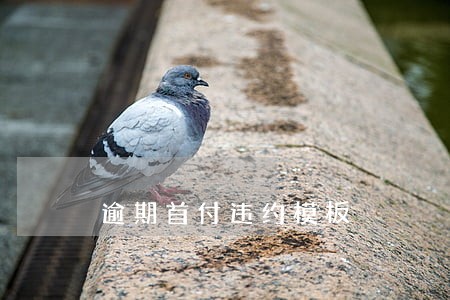 逾期首付违约模板 逾期首付违约模板