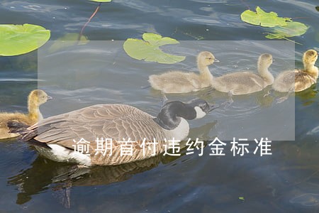 逾期首付违约金标准 逾期首付违约金标准