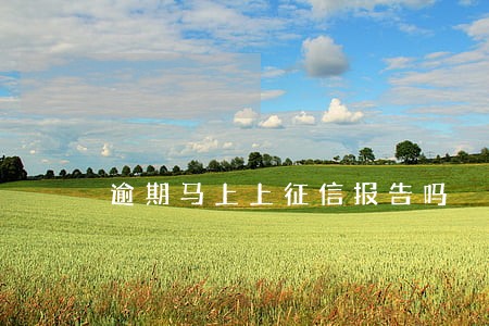 逾期马上上征信报告吗 逾期马上上征信报告吗