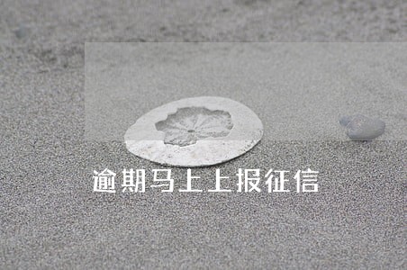 逾期马上上报征信 逾期马上上报征信