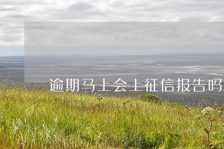 逾期马上会上征信报告吗 逾期马上会上征信报告吗