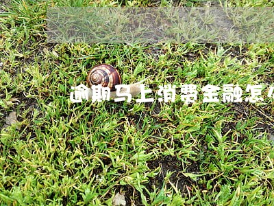 逾期马上消费金融怎么办 逾期马上消费金融怎么办
