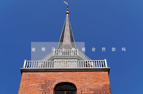 逾期马上申报会罚款吗 逾期马上申报会罚款吗