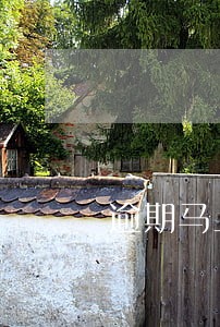 逾期马上还影响买房吗 逾期马上还影响买房吗