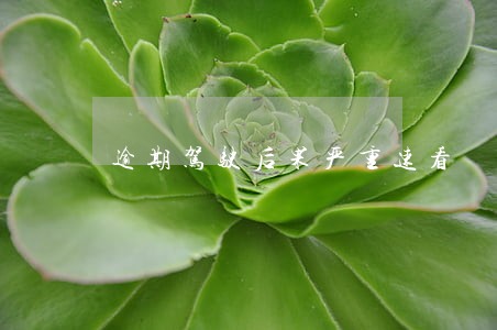 逾期驾驶后果严重速看 逾期驾驶后果严重速看
