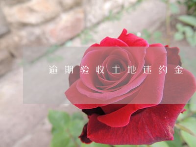 逾期验收土地违约金 逾期验收土地违约金