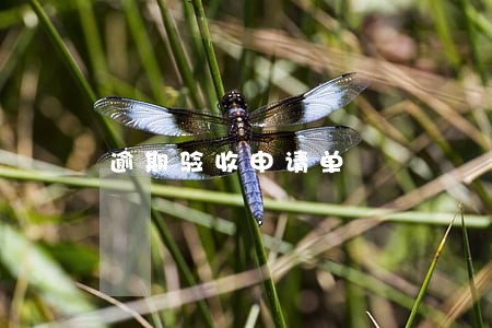 逾期验收申请单
