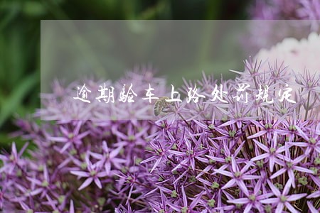 逾期验车上路处罚规定 逾期验车上路处罚规定