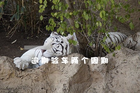 逾期验车两个周期 逾期验车两个周期