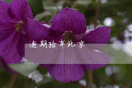 逾期验车北京 逾期验车北京