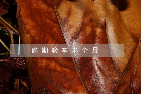 逾期验车半个月 逾期验车半个月