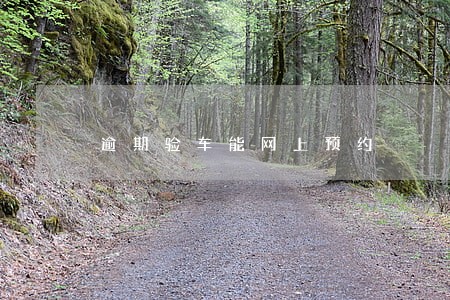 逾期验车能网上预约 逾期验车能网上预约