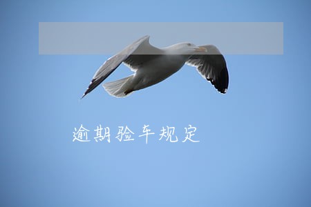 逾期验车规定