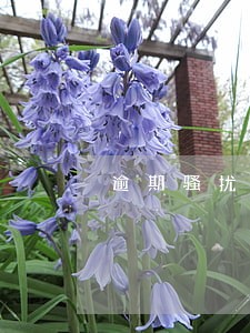 逾期骚扰家人怎么办 逾期骚扰家人怎么办