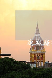 逾期骚扰工作单位怎么办信用卡 逾期骚扰工作单位怎么办信用卡