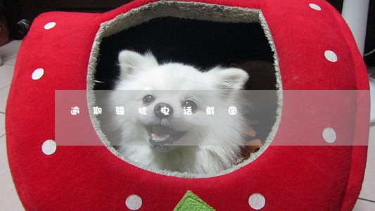 逾期骚扰电话截图 逾期骚扰电话截图