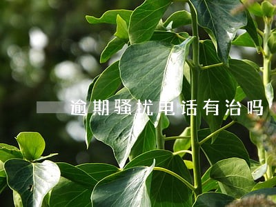 逾期骚扰电话有治吗 逾期骚扰电话有治吗
