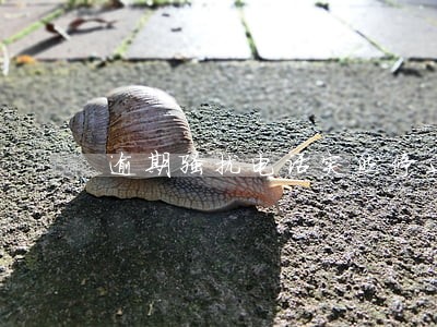 逾期骚扰电话突然停止 逾期骚扰电话突然停止