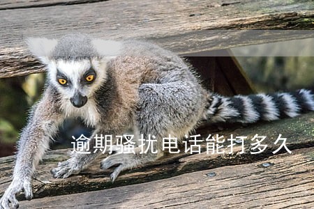 逾期骚扰电话能打多久 逾期骚扰电话能打多久