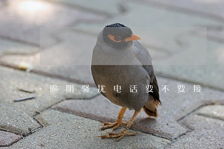 逾期骚扰电话要不要接 逾期骚扰电话要不要接