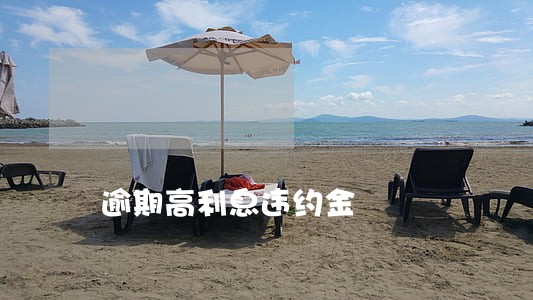 逾期高利息违约金 逾期高利息违约金