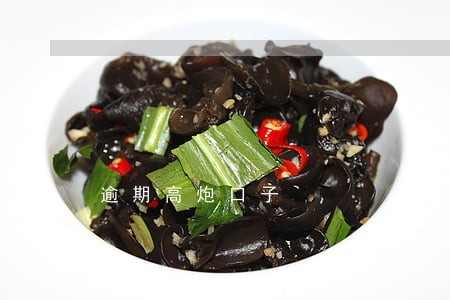 逾期高炮口子 逾期高炮口子