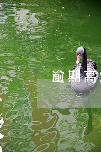 逾期高炮能下的口子 逾期高炮能下的口子