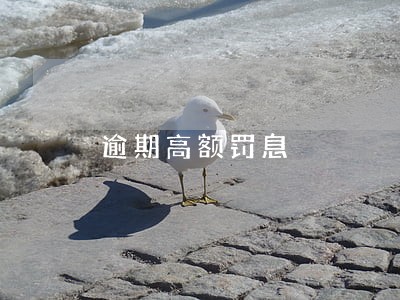 逾期高额罚息 逾期高额罚息