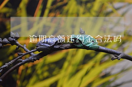 逾期高额违约金合法吗 逾期高额违约金合法吗