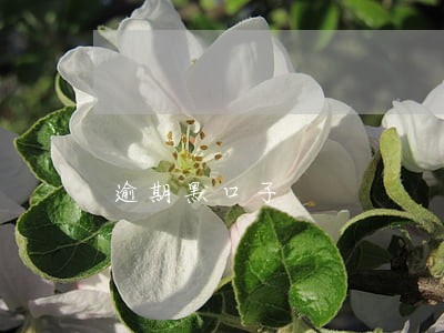 逾期黑口子 逾期黑口子