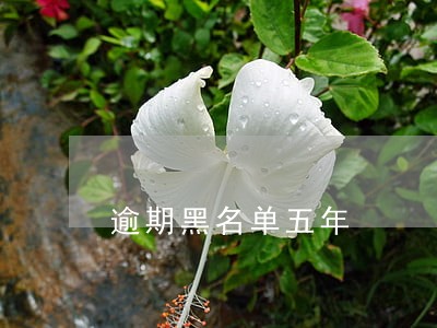 逾期黑名单五年 逾期黑名单五年