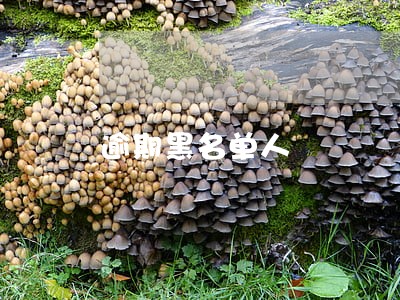 逾期黑名单人 逾期黑名单人