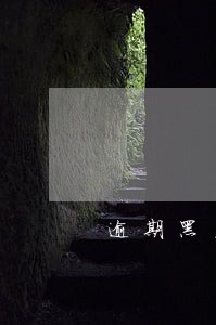 逾期黑名单低首付的车可以买吗 逾期黑名单低首付的车可以买吗