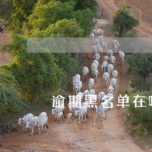 逾期黑名单在哪里看 逾期黑名单在哪里看