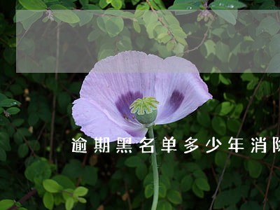 逾期黑名单多少年消除 逾期黑名单多少年消除