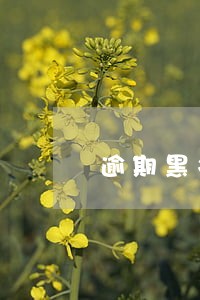 逾期黑名单大盘点 逾期黑名单大盘点