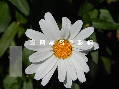 逾期黑名单影响 逾期黑名单影响