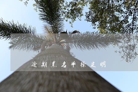 逾期黑名单徐建明 逾期黑名单徐建明